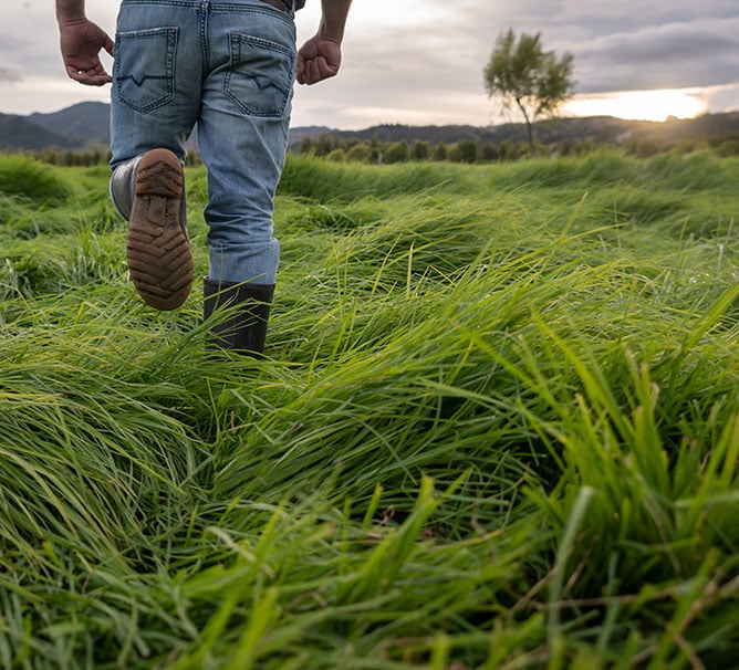 csr-1.jpg.pagespeed.ce.H97GL7dWP5