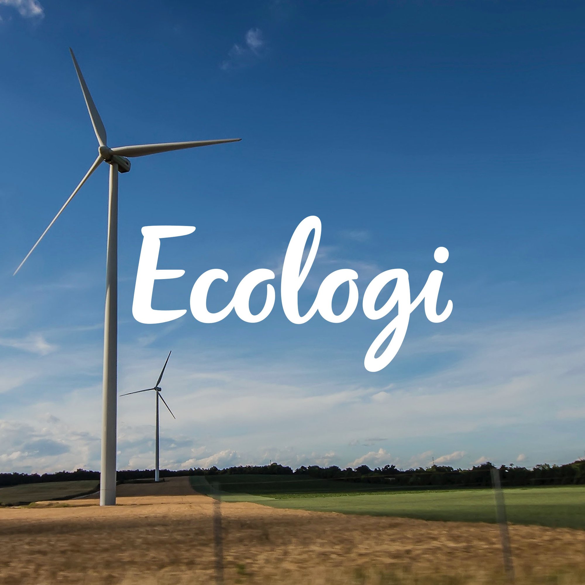 Ecologi_Brand_1x1_05